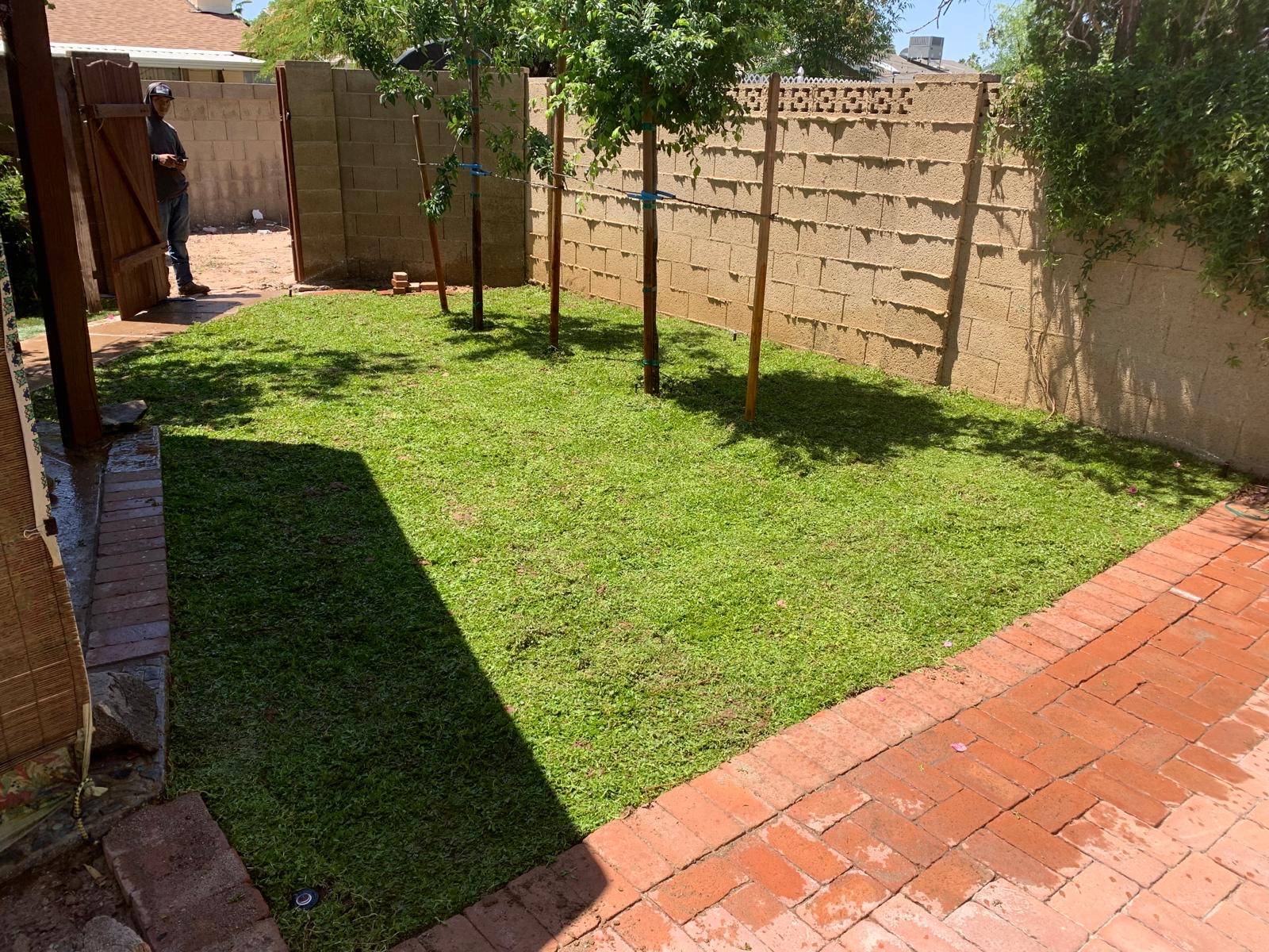 The same backyard covered with green lawn next to a brick path