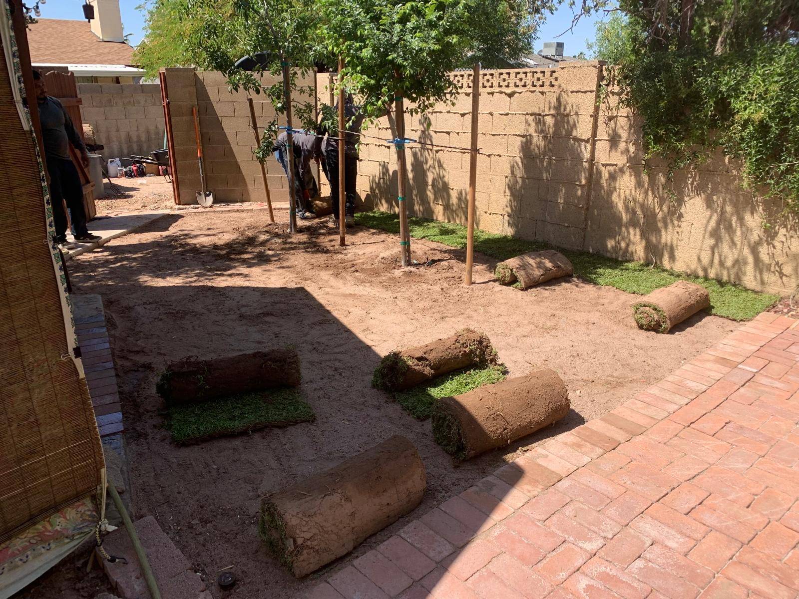 Backyard with bare dirt and rolls of sod ready to lay