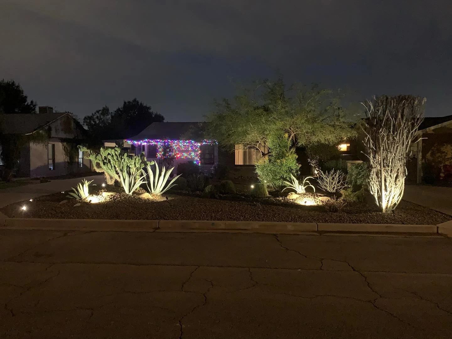 Modern Residential Landscape