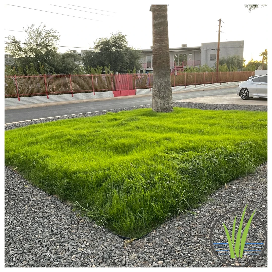 Premium Artificial Grass Installation