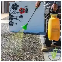 Elegant Paver Walkway