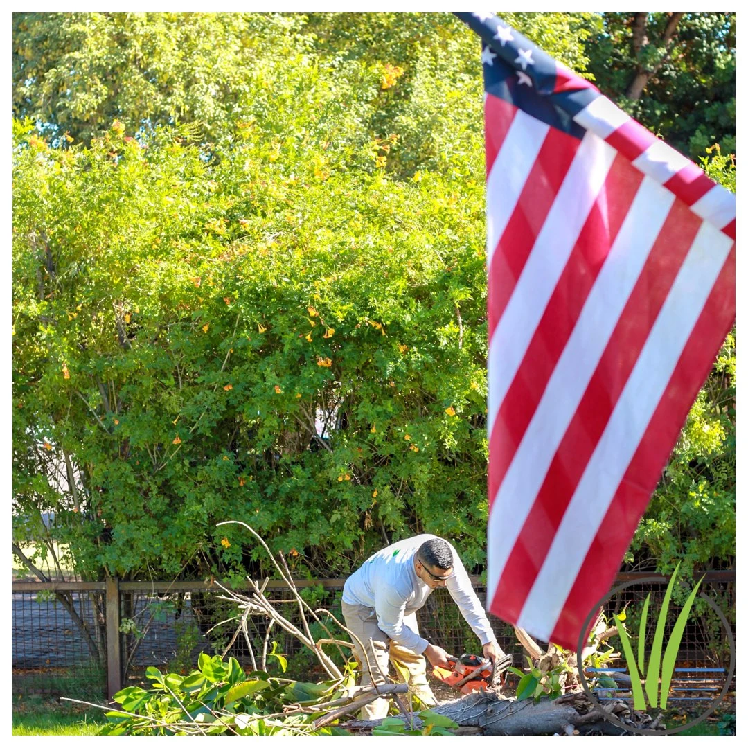 Professional landscaping team at work
