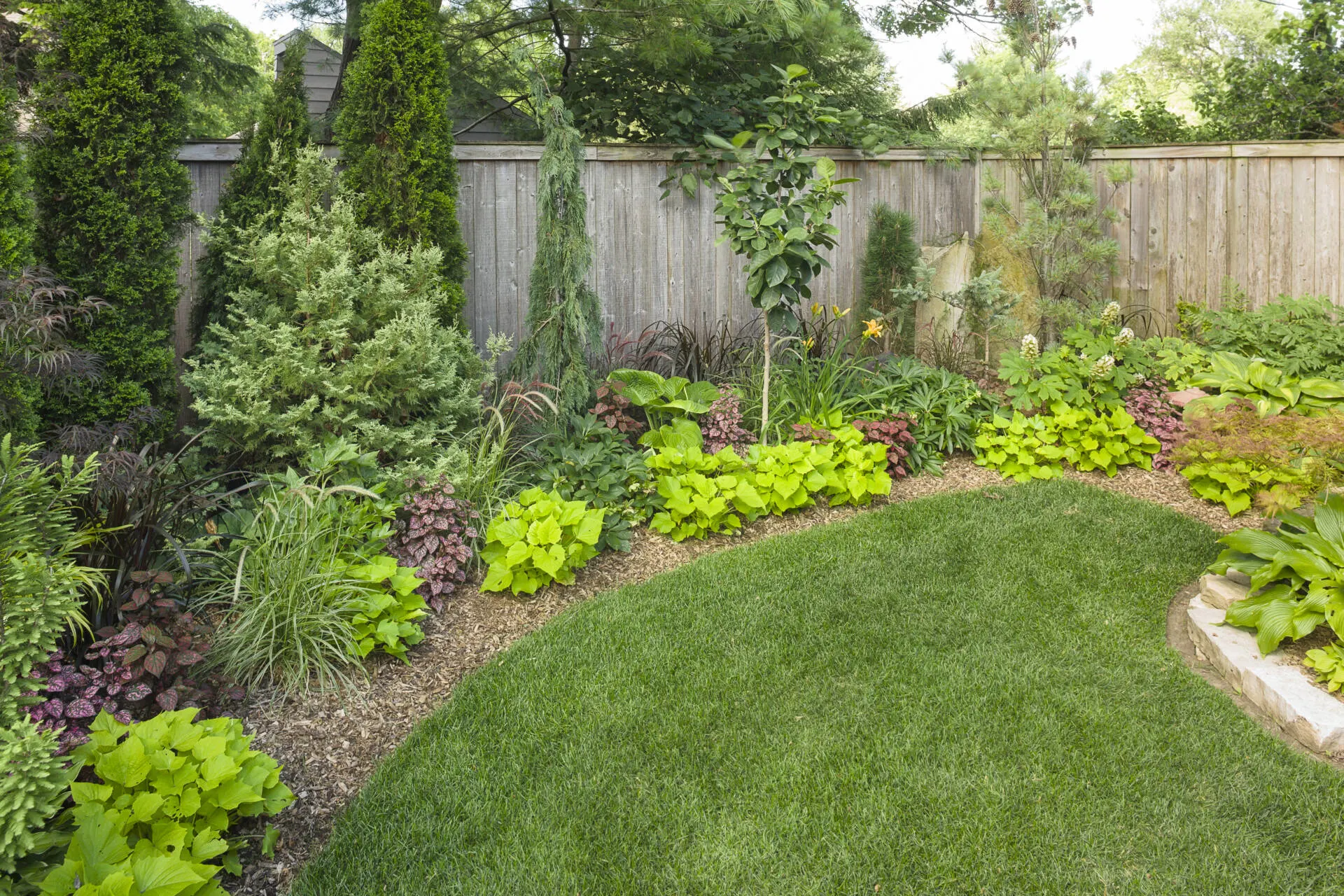 Professional Planting